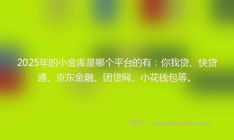2025年的小金库是哪个平台的有：你我贷、快贷通、京东金融、团贷网、小花钱包等。