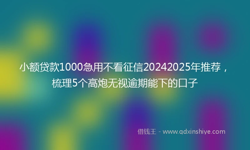 小额贷款1000急用不看征信20242025年推荐，梳理5个高炮无视逾期能下的口子