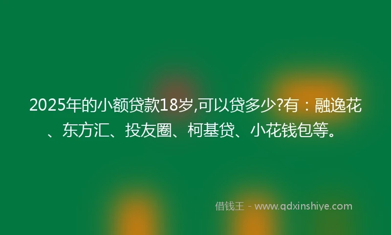 2025年的小额贷款18岁,可以贷多少?有：融逸花、东方汇、投友圈、柯基贷、小花钱包等。
