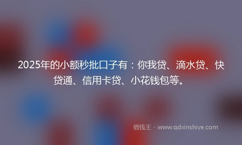 2025年的小额秒批口子有：你我贷、滴水贷、快贷通、信用卡贷、小花钱包等。
