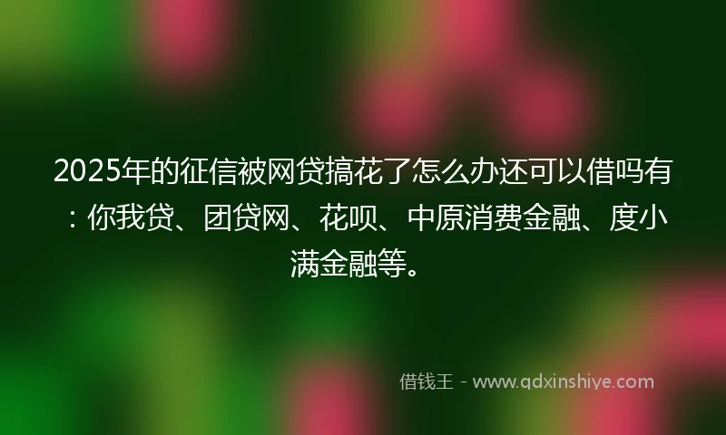 2025年的征信被网贷搞花了怎么办还可以借吗有：你我贷、团贷网、花呗、中原消费金融、度小满金融等。