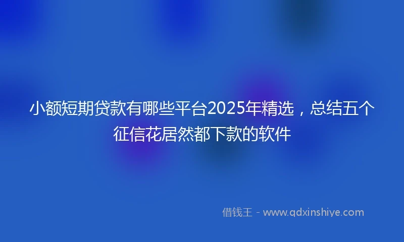 小额短期贷款有哪些平台2025年精选，总结五个征信花居然都下款的软件