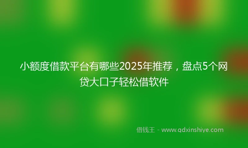 小额度借款平台有哪些2025年推荐，盘点5个网贷大口子轻松借软件