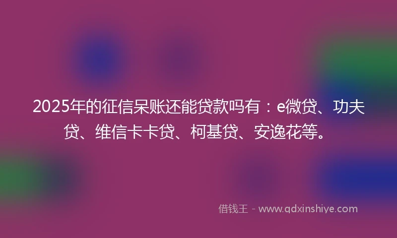 2025年的征信呆账还能贷款吗有：e微贷、功夫贷、维信卡卡贷、柯基贷、安逸花等。