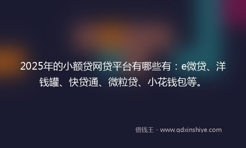 2025年的小额贷网贷平台有哪些有：e微贷、洋钱罐、快贷通、微粒贷、小花钱包等。