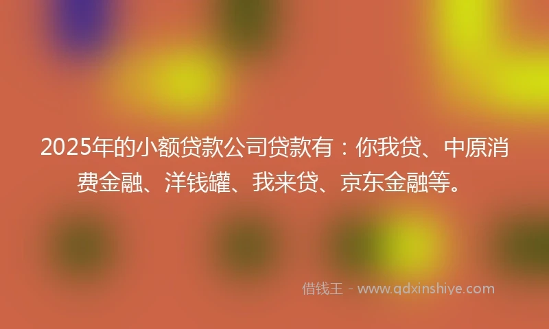 2025年的小额贷款公司贷款有：你我贷、中原消费金融、洋钱罐、我来贷、京东金融等。