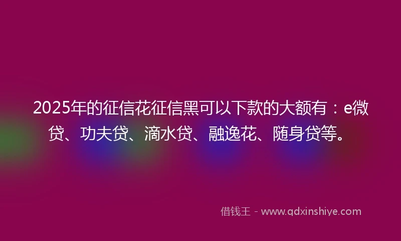 2025年的征信花征信黑可以下款的大额有：e微贷、功夫贷、滴水贷、融逸花、随身贷等。