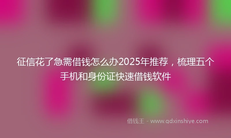 征信花了急需借钱怎么办2025年推荐，梳理五个手机和身份证快速借钱软件