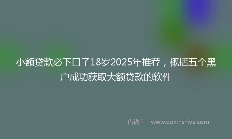 小额贷款必下口子18岁2025年推荐，概括五个黑户成功获取大额贷款的软件