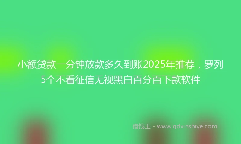 小额贷款一分钟放款多久到账2025年推荐，罗列5个不看征信无视黑白百分百下款软件
