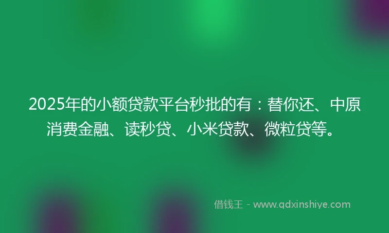 2025年的小额贷款平台秒批的有：替你还、中原消费金融、读秒贷、小米贷款、微粒贷等。