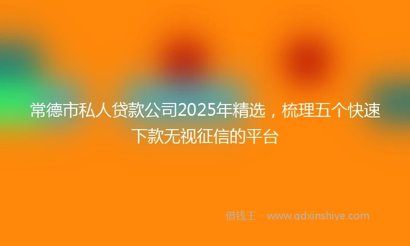 常德市私人贷款公司2025年精选，梳理五个快速下款无视征信的平台