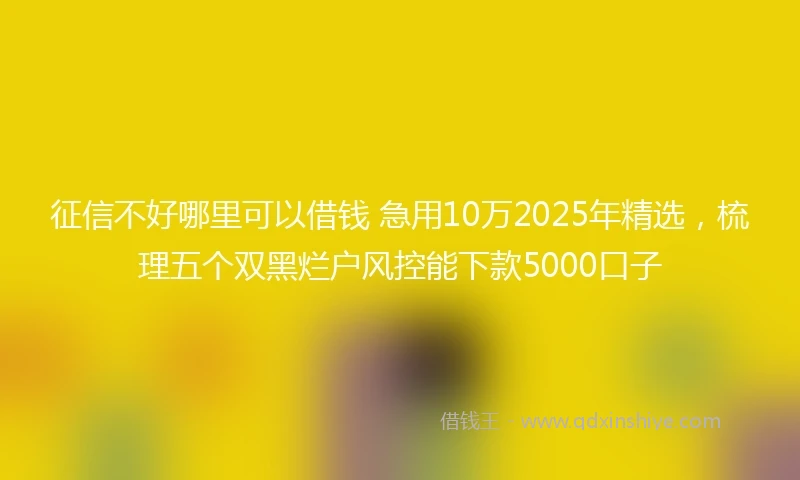 征信不好哪里可以借钱 急用10万2025年精选,梳理五个双黑烂户风控能下款5000口子