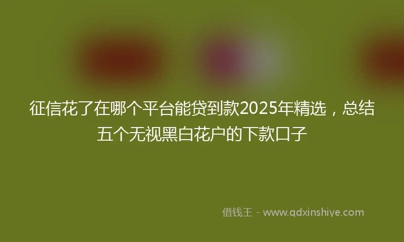 征信花了在哪个平台能贷到款2025年精选，总结五个无视黑白花户的下款口子