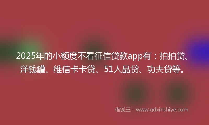 2025年的小额度不看征信贷款app有：拍拍贷、洋钱罐、维信卡卡贷、51人品贷、功夫贷等。