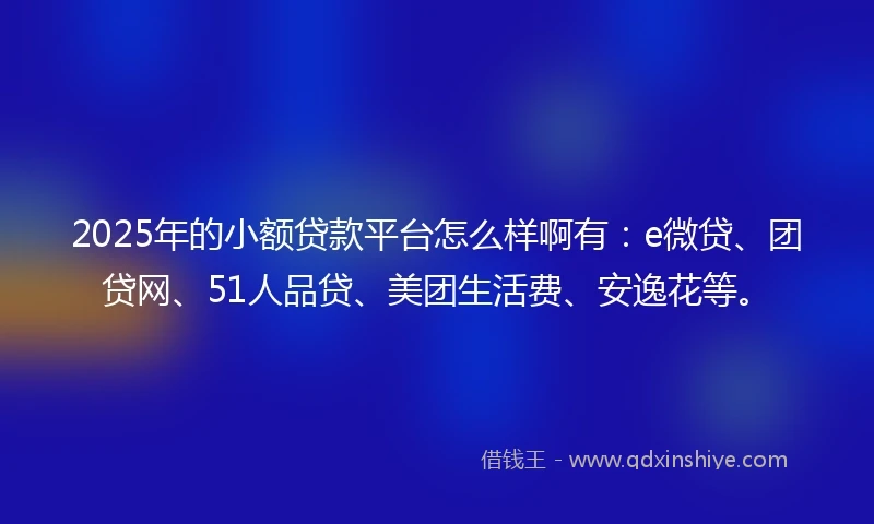 2025年的小额贷款平台怎么样啊有：e微贷、团贷网、51人品贷、美团生活费、安逸花等。