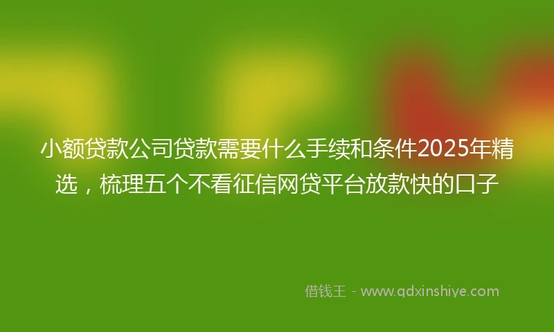 小额贷款公司贷款需要什么手续和条件2025年精选，梳理五个不看征信网贷平台放款快的口子