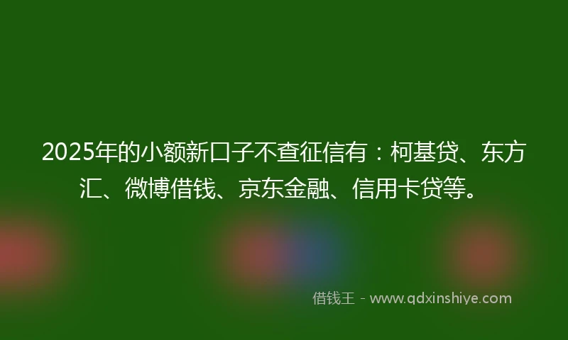 2025年的小额新口子不查征信有：柯基贷、东方汇、微博借钱、京东金融、信用卡贷等。