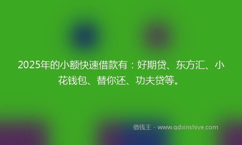 2025年的小额快速借款有：好期贷、东方汇、小花钱包、替你还、功夫贷等。
