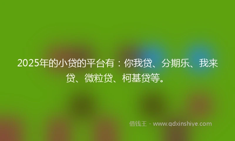 2025年的小贷的平台有：你我贷、分期乐、我来贷、微粒贷、柯基贷等。