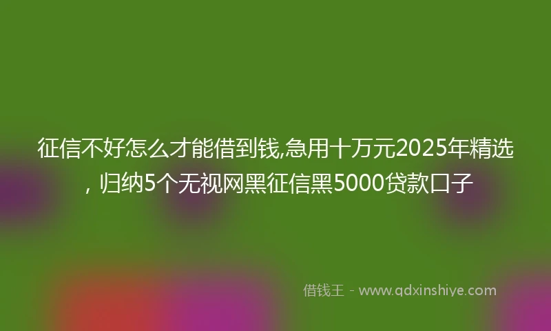 征信不好怎么才能借到钱,急用十万元2025年精选，归纳5个无视网黑征信黑5000贷款口子