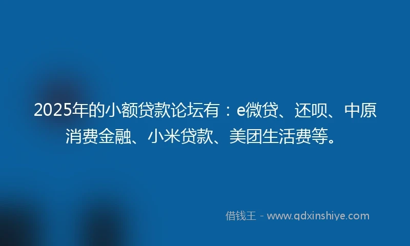 2025年的小额贷款论坛有：e微贷、还呗、中原消费金融、小米贷款、美团生活费等。