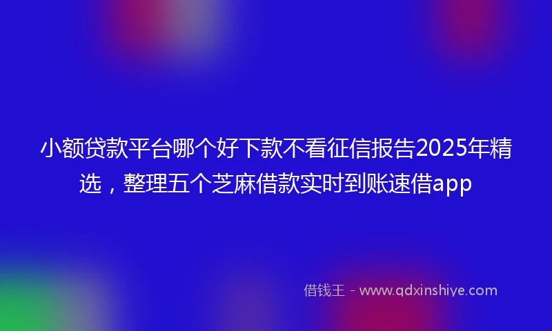 小额贷款平台哪个好下款不看征信报告2025年精选，整理五个芝麻借款实时到账速借app