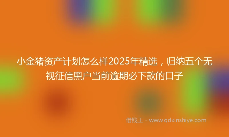 小金猪资产计划怎么样2025年精选，归纳五个无视征信黑户当前逾期必下款的口子