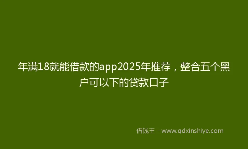年满18就能借款的app2025年推荐，整合五个黑户可以下的贷款口子