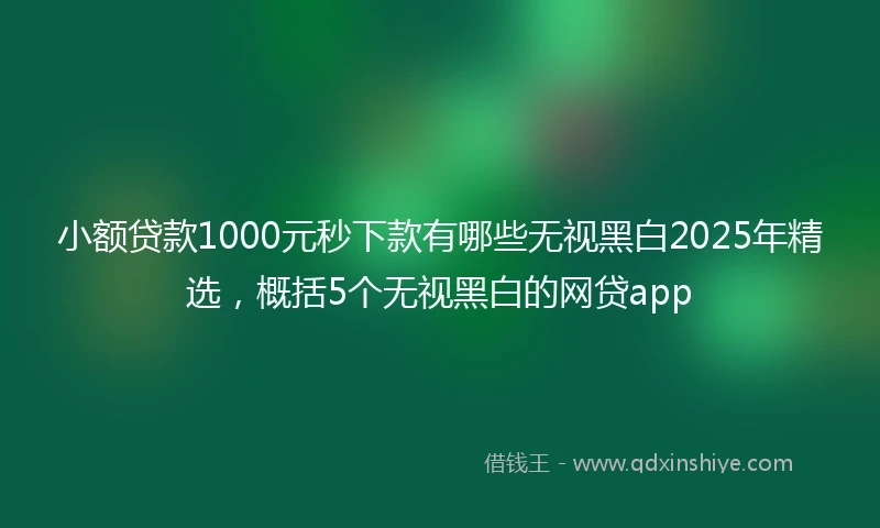 小额贷款1000元秒下款有哪些无视黑白2025年精选，概括5个无视黑白的网贷app