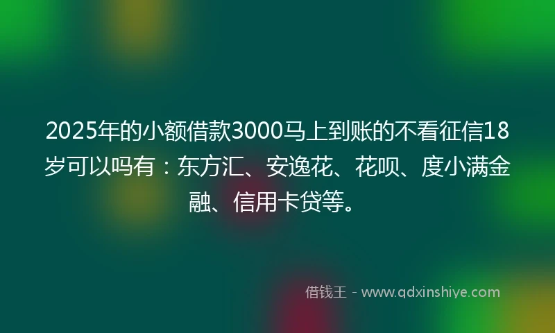 2025年的小额借款3000马上到账的不看征信18岁可以吗有：东方汇、安逸花、花呗、度小满金融、信用卡贷等。