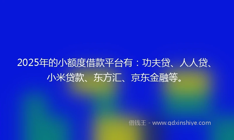 2025年的小额度借款平台有:功夫贷、人人贷、小米贷款、东方汇、京东金融等。