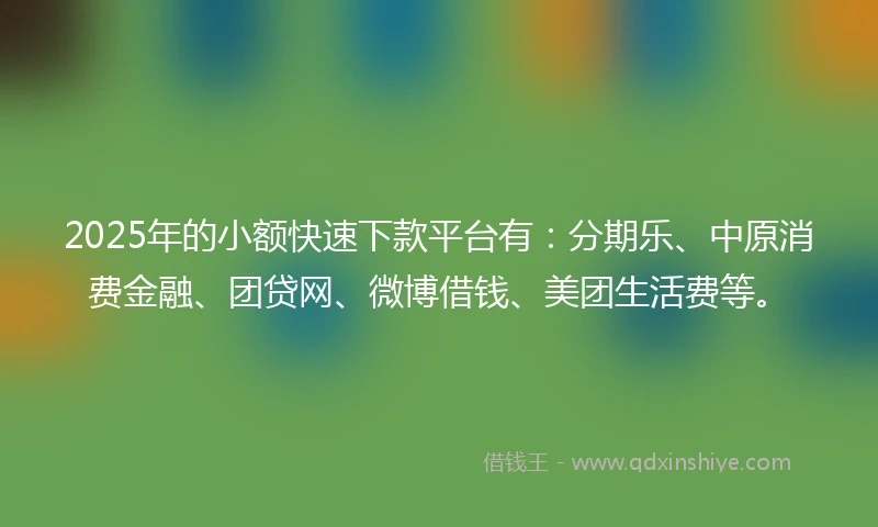 2025年的小额快速下款平台有：分期乐、中原消费金融、团贷网、微博借钱、美团生活费等。