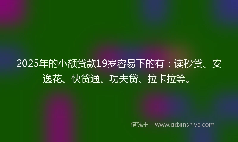2025年的小额贷款19岁容易下的有：读秒贷、安逸花、快贷通、功夫贷、拉卡拉等。