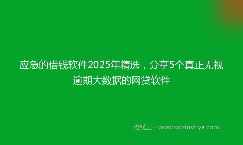 应急的借钱软件2025年精选，分享5个真正无视逾期大数据的网贷软件