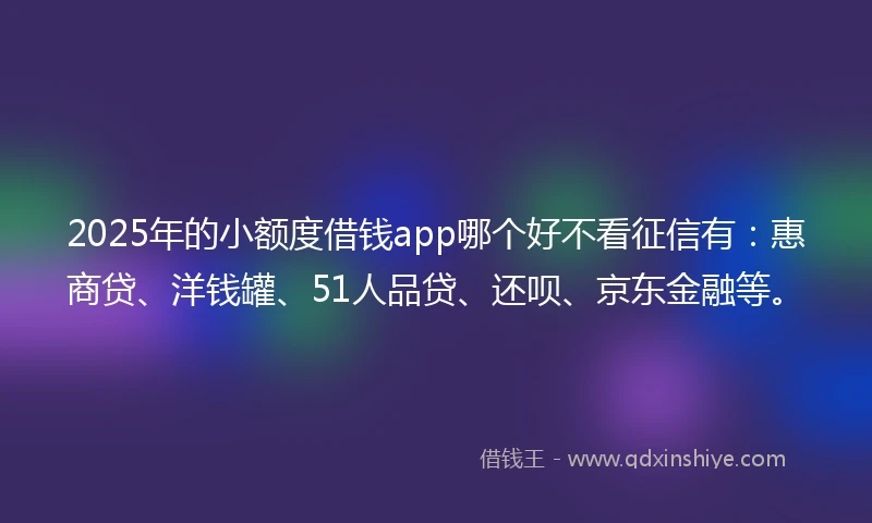 2025年的小额度借钱app哪个好不看征信有：惠商贷、洋钱罐、51人品贷、还呗、京东金融等。