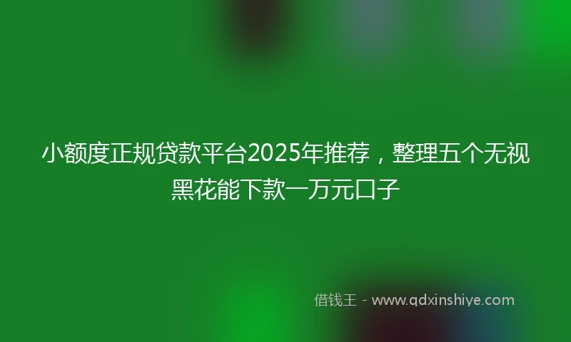 小额度正规贷款平台2025年推荐，整理五个无视黑花能下款一万元口子
