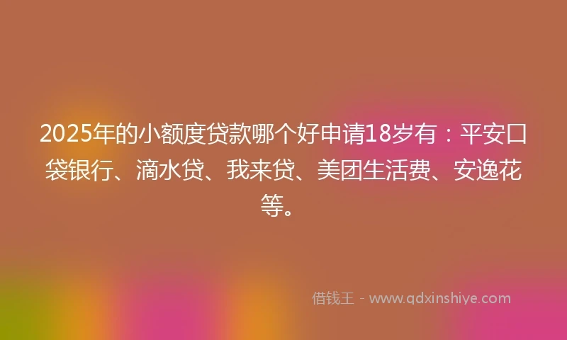 2025年的小额度贷款哪个好申请18岁有：平安口袋银行、滴水贷、我来贷、美团生活费、安逸花等。