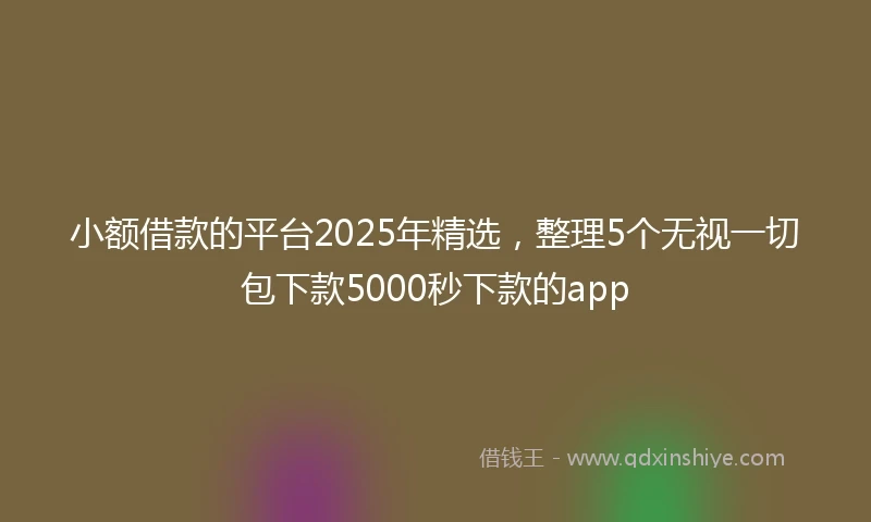 小额借款的平台2025年精选，整理5个无视一切包下款5000秒下款的app