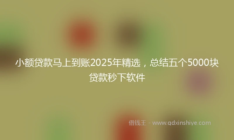 小额贷款马上到账2025年精选，总结五个5000块贷款秒下软件