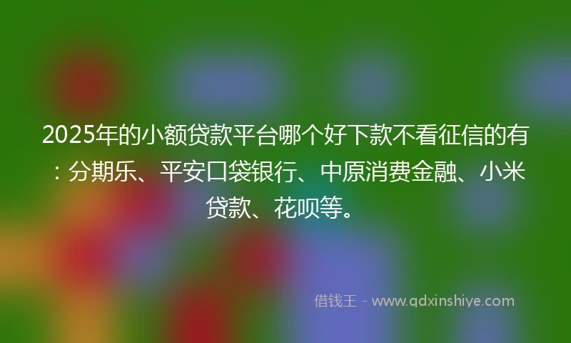 2025年的小额贷款平台哪个好下款不看征信的有：分期乐、平安口袋银行、中原消费金融、小米贷款、花呗等。
