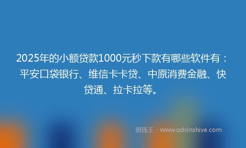 2025年的小额贷款1000元秒下款有哪些软件有：平安口袋银行、维信卡卡贷、中原消费金融、快贷通、拉卡拉等。