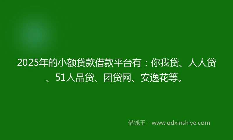2025年的小额贷款借款平台有：你我贷、人人贷、51人品贷、团贷网、安逸花等。