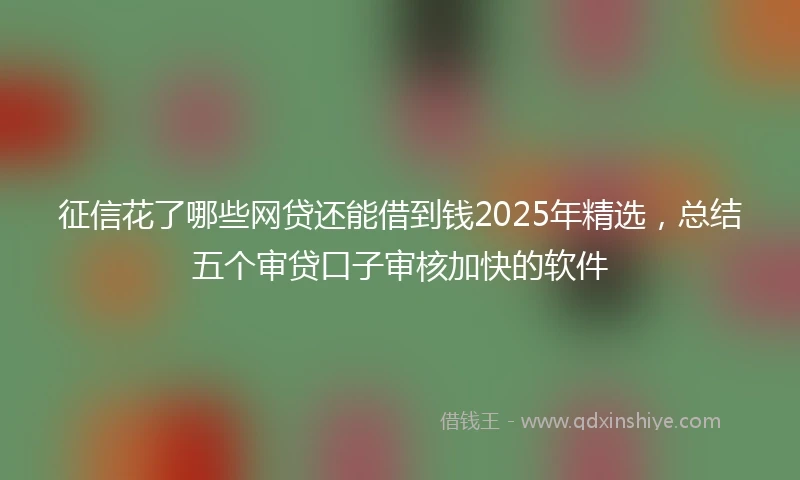 征信花了哪些网贷还能借到钱2025年精选，总结五个审贷口子审核加快的软件