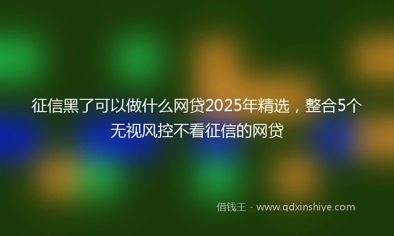 征信黑了可以做什么网贷2025年精选，整合5个无视风控不看征信的网贷