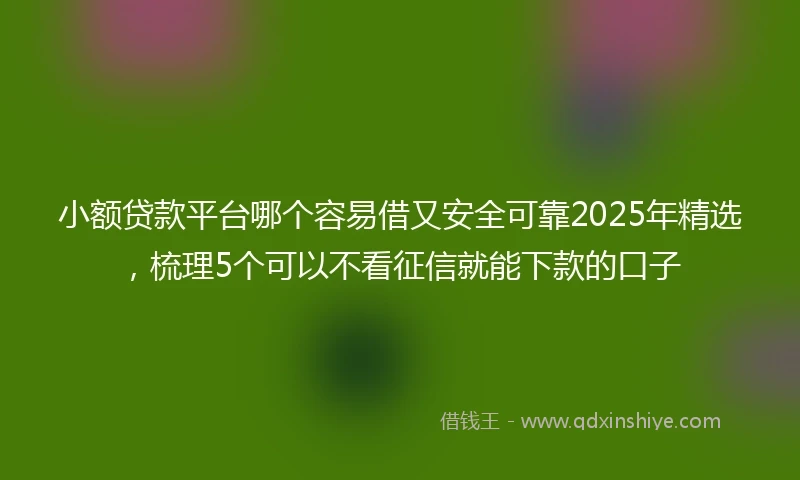 小额贷款平台哪个容易借又安全可靠2025年精选，梳理5个可以不看征信就能下款的口子