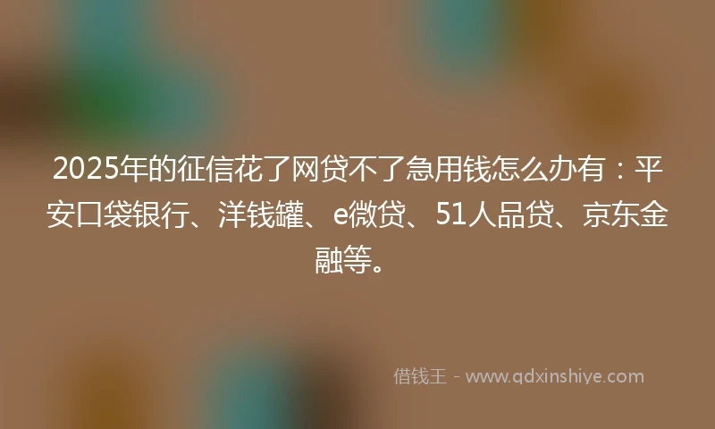 2025年的征信花了网贷不了急用钱怎么办有：平安口袋银行、洋钱罐、e微贷、51人品贷、京东金融等。
