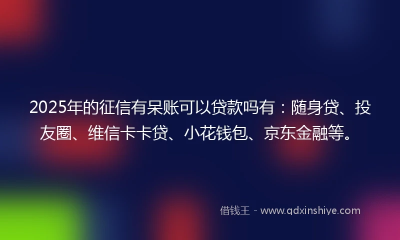 2025年的征信有呆账可以贷款吗有：随身贷、投友圈、维信卡卡贷、小花钱包、京东金融等。