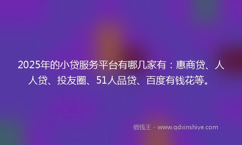2025年的小贷服务平台有哪几家有：惠商贷、人人贷、投友圈、51人品贷、百度有钱花等。