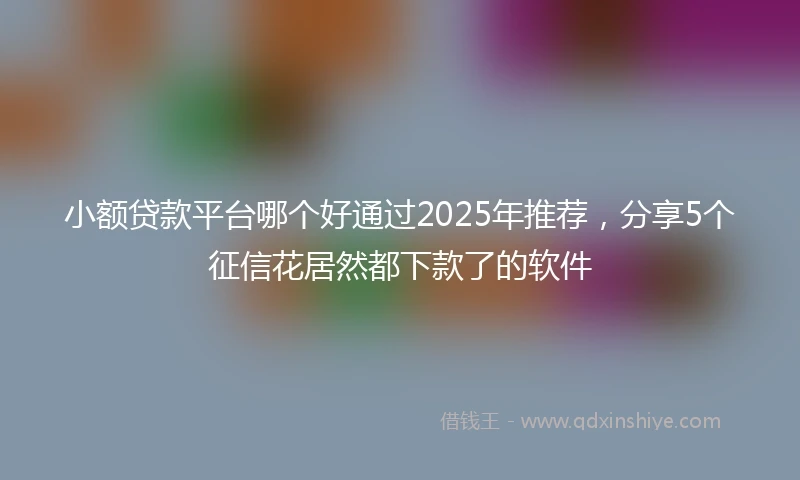 小额贷款平台哪个好通过2025年推荐，分享5个征信花居然都下款了的软件